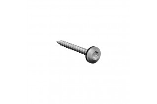 Dakpanschroef torx met EPDM...